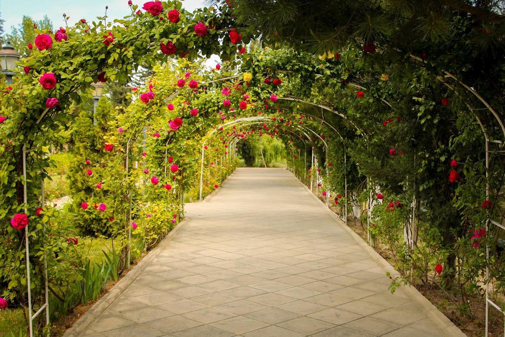 River Side Hotel Mingəçevir Buitenkant foto