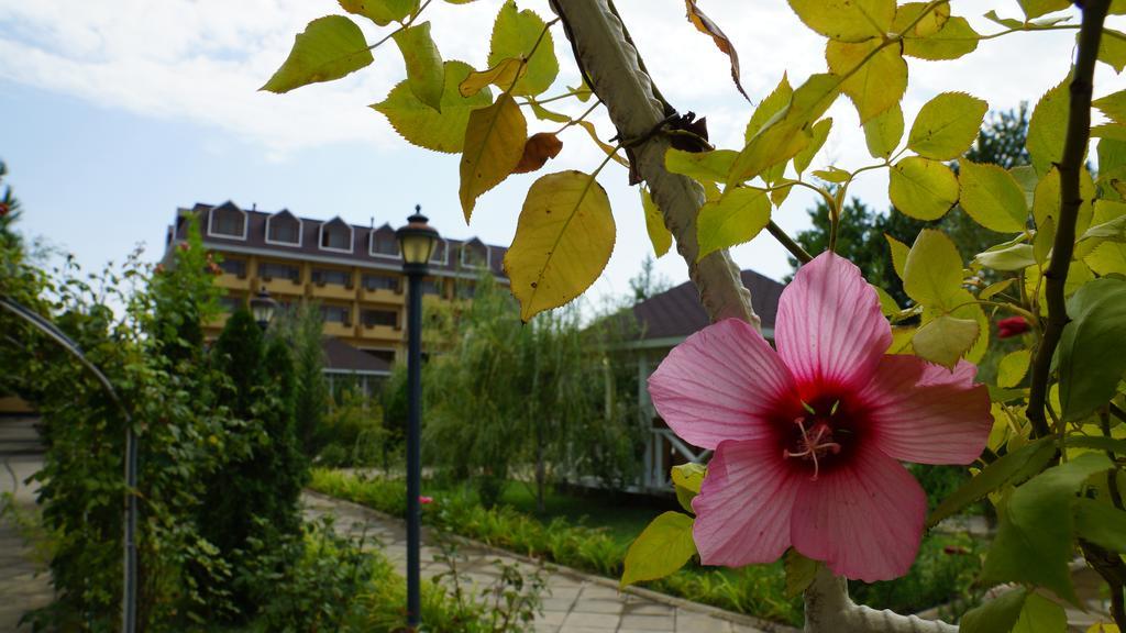 River Side Hotel Mingəçevir Buitenkant foto